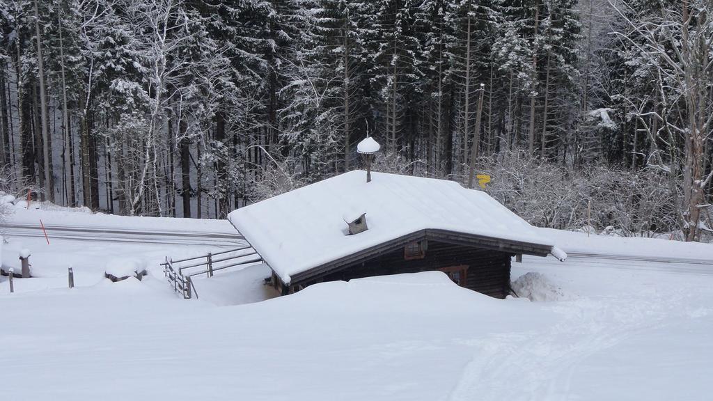 Almbruennerl Die Almhuette Auf Der Raffner Alm โรพอลดิง ห้อง รูปภาพ
